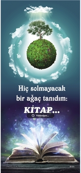 KAPIG312