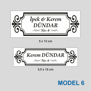 MODEL 6